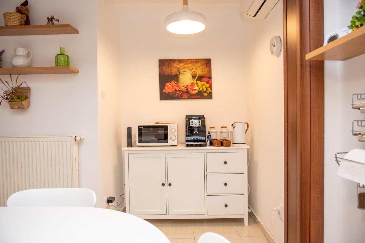 Classic Apartment Near The City Center Cluj Napoca Bagian luar foto
