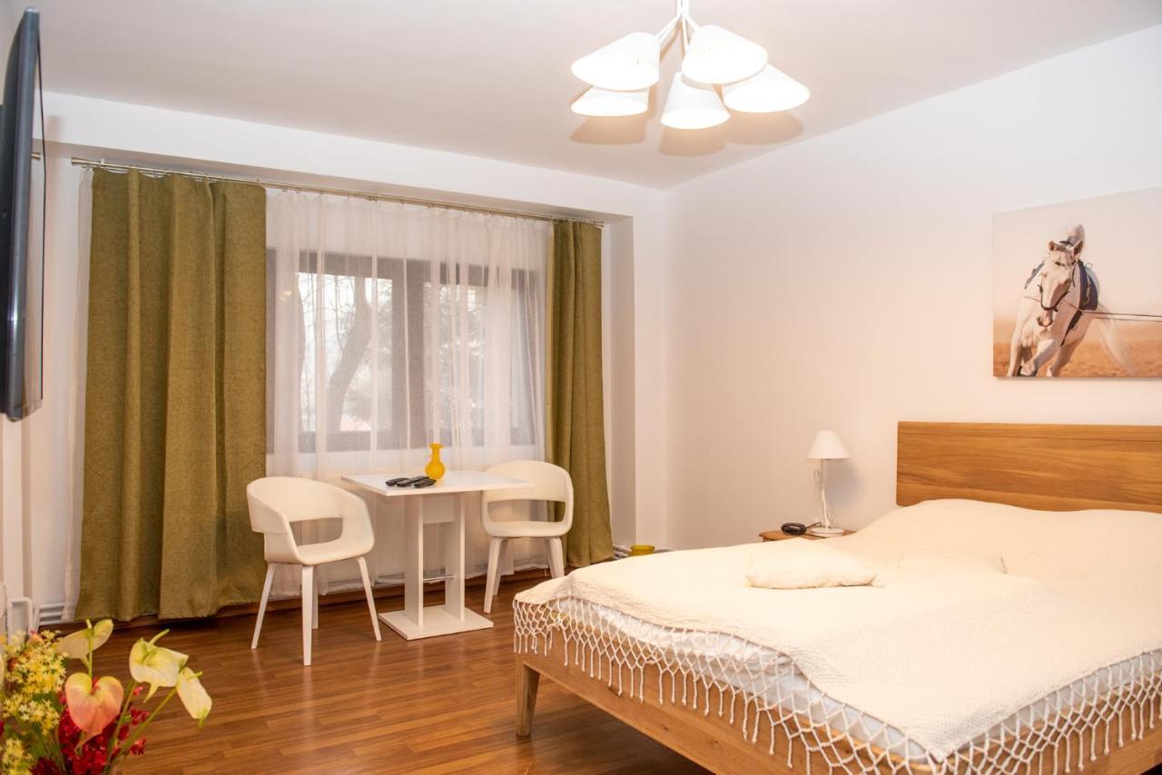 Classic Apartment Near The City Center Cluj Napoca Bagian luar foto