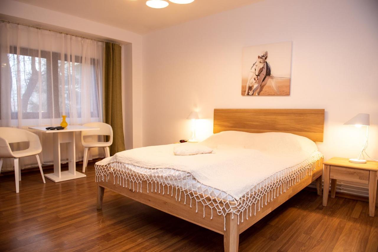 Classic Apartment Near The City Center Cluj Napoca Bagian luar foto