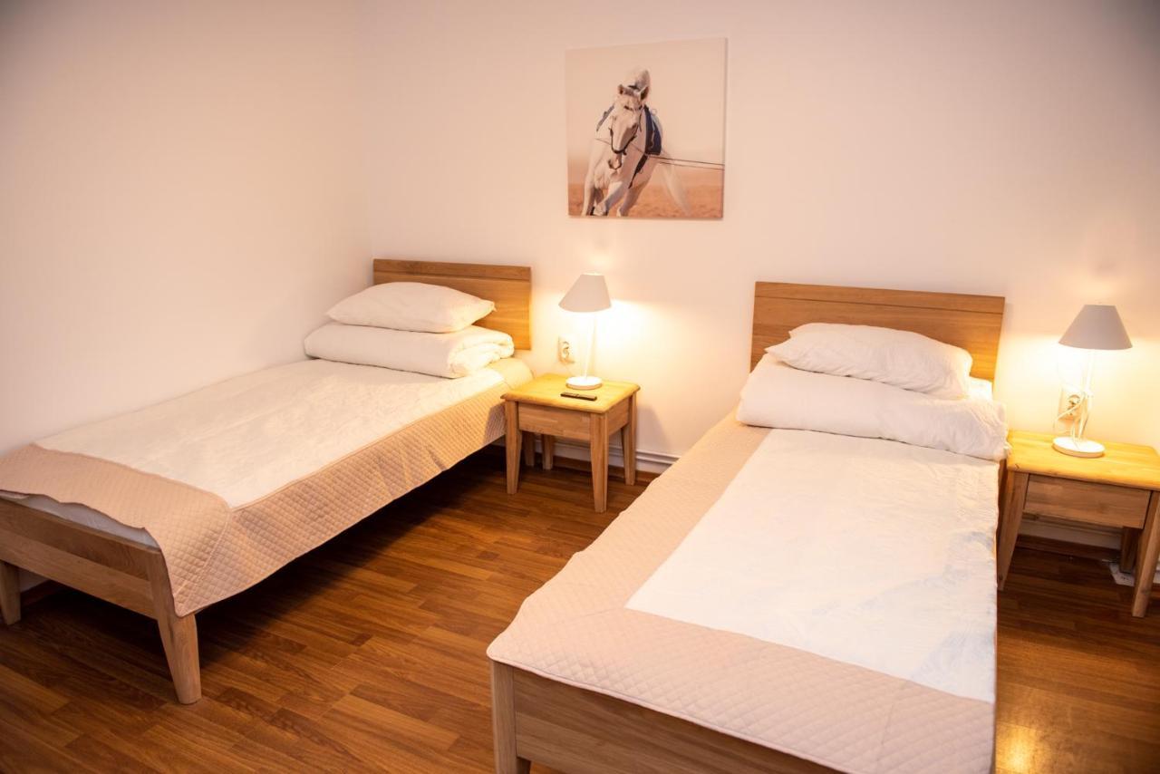 Classic Apartment Near The City Center Cluj Napoca Bagian luar foto