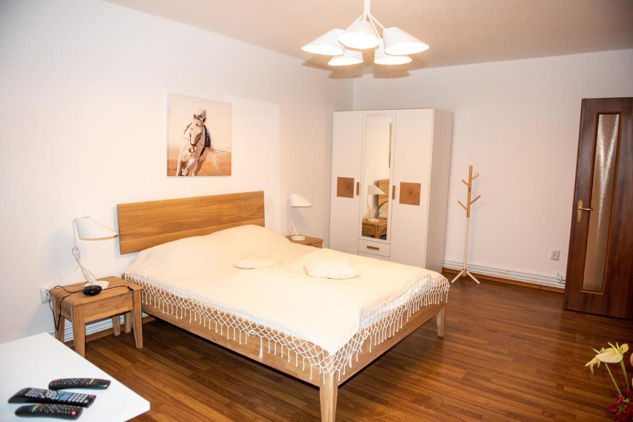 Classic Apartment Near The City Center Cluj Napoca Bagian luar foto